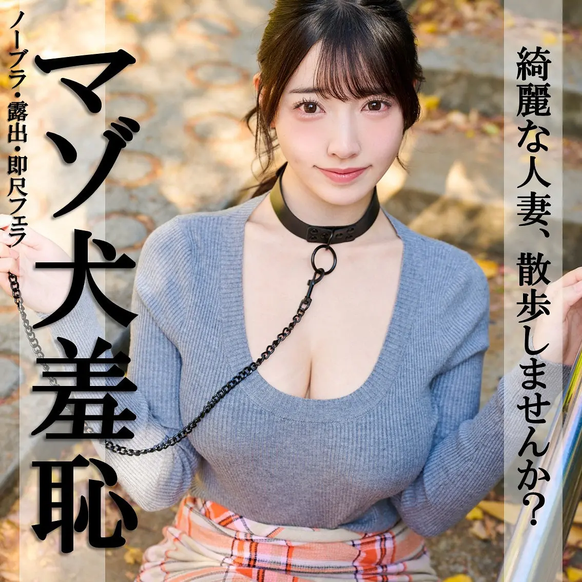 (pai376)-パッケージ画像
